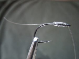 IMG_3175